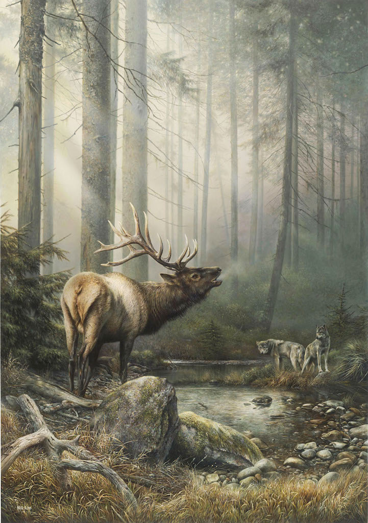 Denis mayer Echo in the Mist Elk Wolves